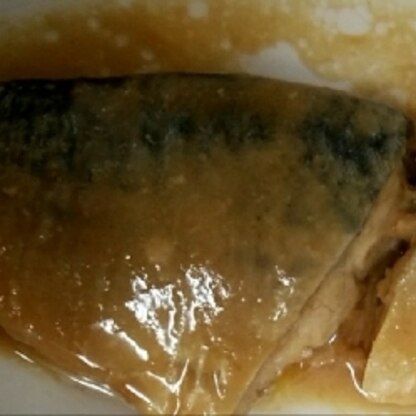 ガーベラ9475さん♪おはようございます♡鯖の味噌煮とっても美味しかったです♪お魚は体に良いですね♪ご馳走様でした(*´∀｀)